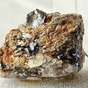 Sharp Lustrous Specimen‎ Molybdenite Crystal Quartz Moly Hill Mine Québec Canada